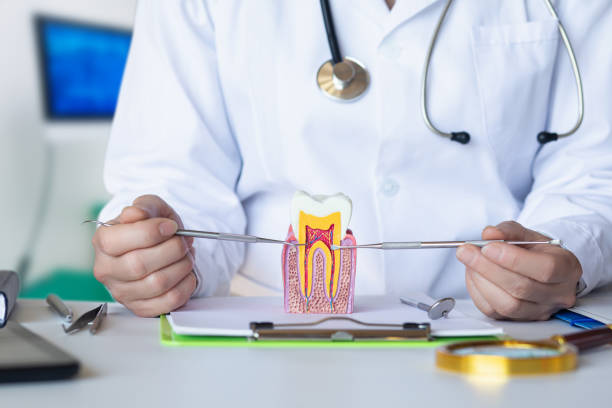 Best Tooth Infection Emergency Dentist  in Dupo, IL
